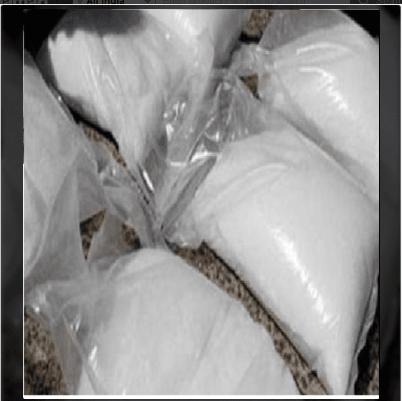 Milk Powder Packing Machine